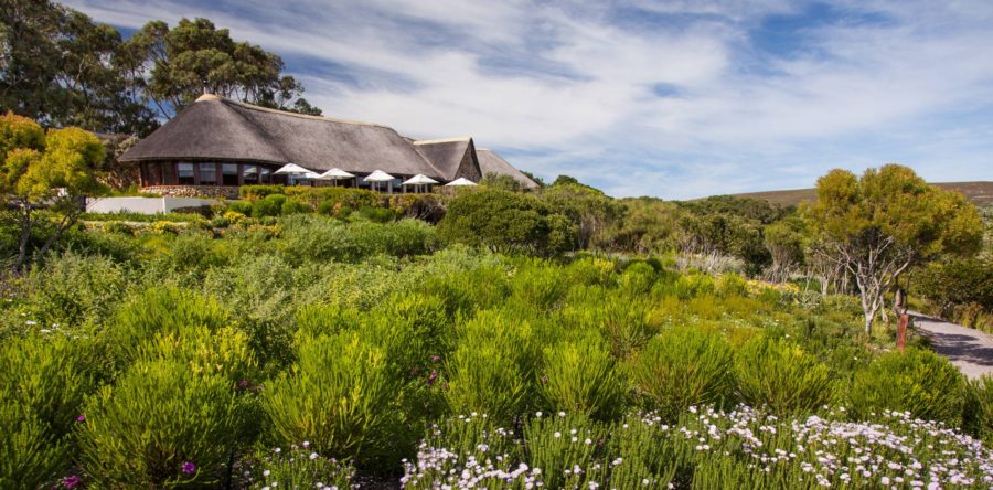 Grootbos