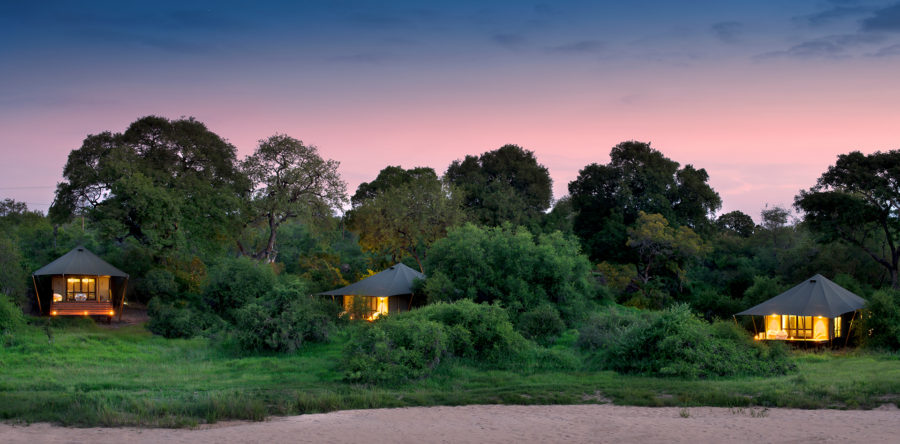 Phinda Tented Camp